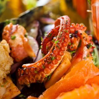 Marinated Octopus Salad